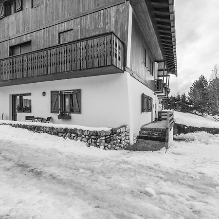 Ca' Dello Scoiattolo Lägenhet Cortina dʼAmpezzo Exteriör bild